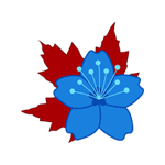 AniCa Logo